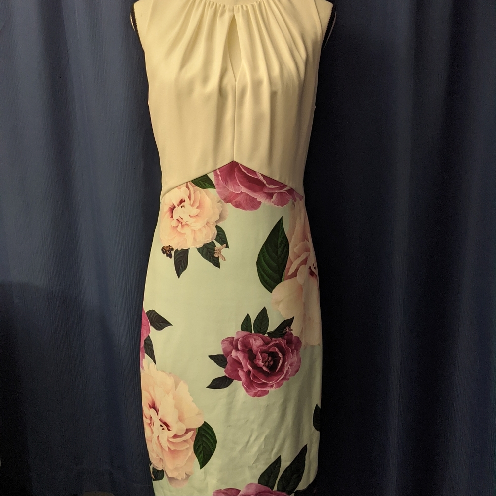 Ted Baker dress